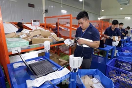 Vietnam strives to have over half of population shopping online by 2025