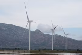 Ninh Thuan looks to become national renewable energy centre