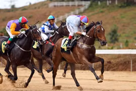Vietnam should develop gambling industry to boost tourism