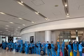 Over 220 Vietnamese citizens brought home safely from Japan 