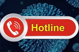 HCM City: Round-the-clock hotlines opened to obtain COVID-19 feedback