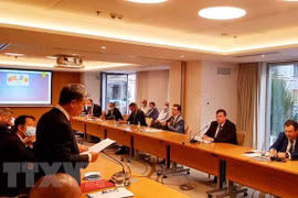 Workshop highlights Vietnam – Romania friendship