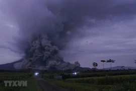 Indonesia among countries with highest natural disaster risk