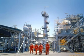 Deputy PM assigns 2020 tasks for PetroVietnam 