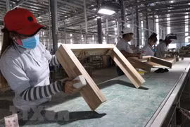 Vietnam to be one of fastest-growing economies in 2021: Moody's Analytics