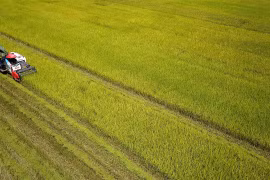 Vietnam’s agriculture to be world’s top 15 most developed