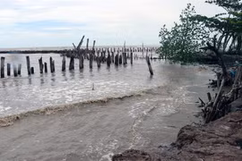 Kien Giang mobilises all resources to counter coast erosion 