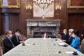 Top Japanese legislator praises Vietnam’s COVID-19 fight