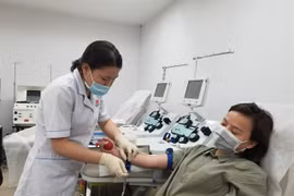 Young people in HCM City call on peers to donate blood