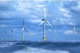 Wind power projects boom in Tra Vinh province