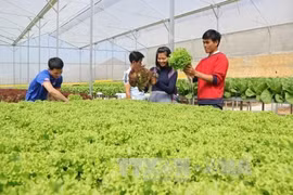 Russia willing to expand agricultural cooperation with Vietnam, ASEAN