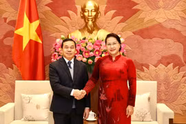 Vietnam, Laos step up legislative cooperation in 2020: Top legislator