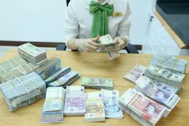 Reference exchange rate down 5 VND at week’s beginning