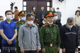 Two former deputy general directors of BIDV face jail terms of 6-7 years