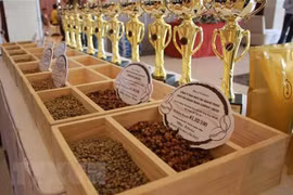 Vietnam becomes Japan’s biggest coffee supplier