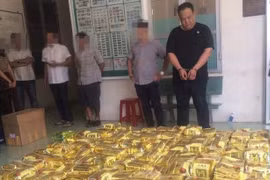 Young drug users on the rise in HCM City, Da Nang
