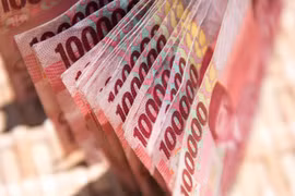 Indonesia’s foreign debts hit 408.6 bln USD 