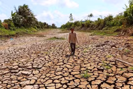 PM calls for urgent action to deal with drought, saltwater intrusion