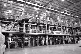 VinaSeed’s rice products conquer international market