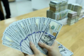 Reference exchange rate down 8 VND