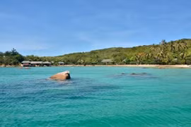 Khanh Hoa’s Whale island in top 10 must-dive destinations for 2020