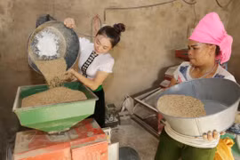 UNDP project aims to accelerate socio-economic development in ethnic minority areas