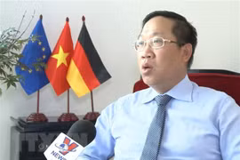 Trade counselor advises firms on ways to optimise EVFTA