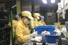 HCM City supports firms hard-hit by COVID-19 