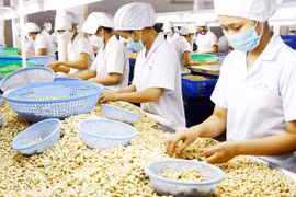  Vietnam's agriculture needs support from foreign partners: MARD