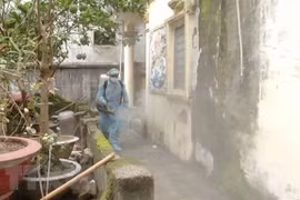 Dengue fever cases likely to rise: Health Ministry