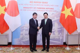Vietnam, Japan agree to further enhance political trust 