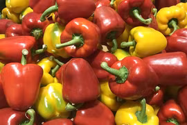 RoK to export paprika to Vietnam