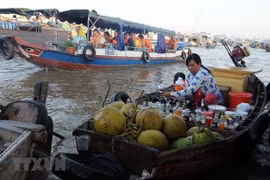 Can Tho working to revive tourism