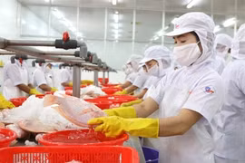 Businesses prepare for Tet, to ensure sufficient supply