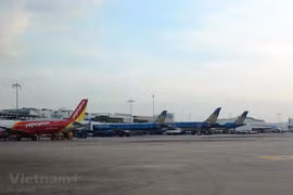 Flights licensed to bring Vietnamese, Chinese citizens back