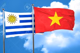 Party official discusses promoting ties with political parties in Uruguay