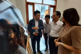 Ba Ria – Vung Tau to develop modern seaports, logistics services