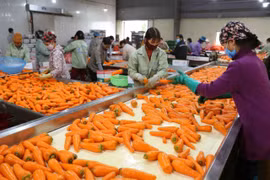 COVID-19 highlights need for economic restructuring