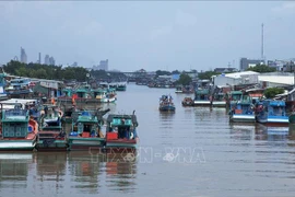 Over 84 percent of Kien Giang fishing vessels equipped with monitoring systems