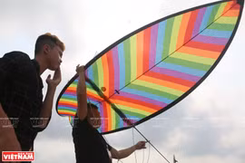 Colourful kites flaunt beauty at competition