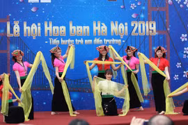 Hanoi hosts first ever “Ban” flower 