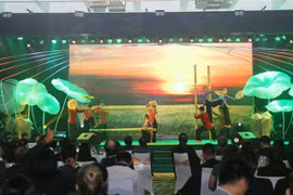 International Travel Expo – Ho Chi Minh City 2019 opens