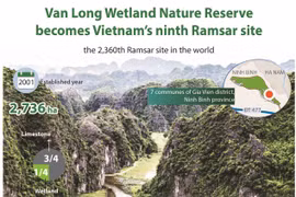Van Long Wetland Nature Reserve becomes Vietnam’s ninth Ramsar site