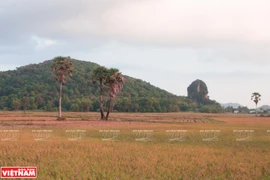 Thach Dong - popular tourist destination in Kien Giang