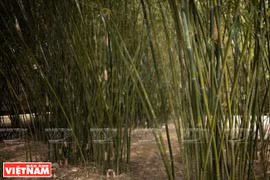 Traditional weaving trade in Tra Vinh province