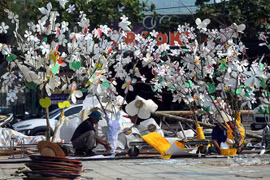 Dien Bien readies for Ban flower festival 