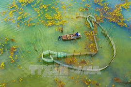 Van Long Wetland Nature Reserve