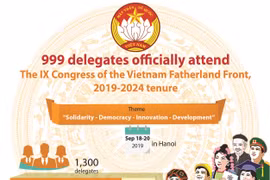 999 delegates officially attend the IX Congress of the VFF