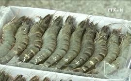 Agro-forestry-fishery exports increases in 8 months 