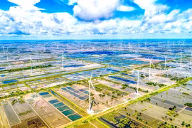 A wind farm in Bac Lieu province. Energy companies are planning investments in renewable energy to capture opportunities from energy transition. (Photo: VNA)